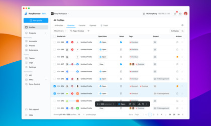 RoxyBrowser image