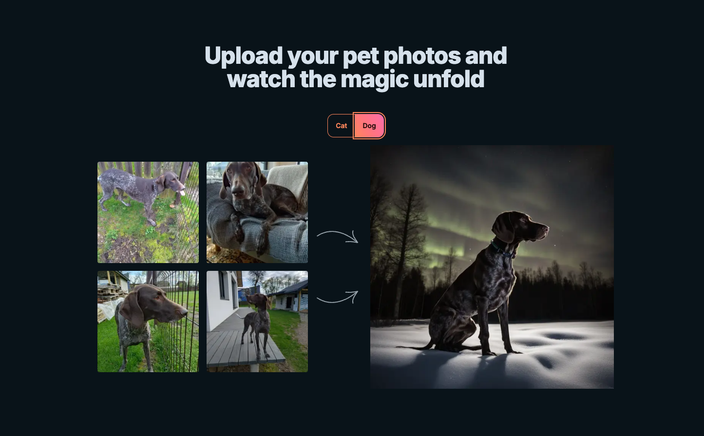 PetPicAI.com 