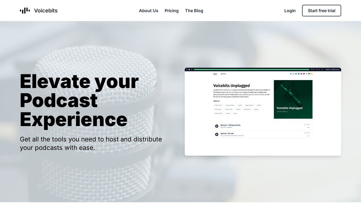 Voicebits Landing page