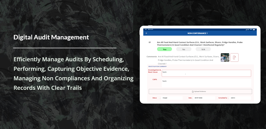 SmartAudits Online Non Conformance