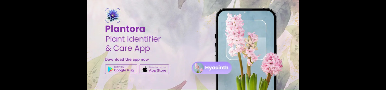 Plantora App 
