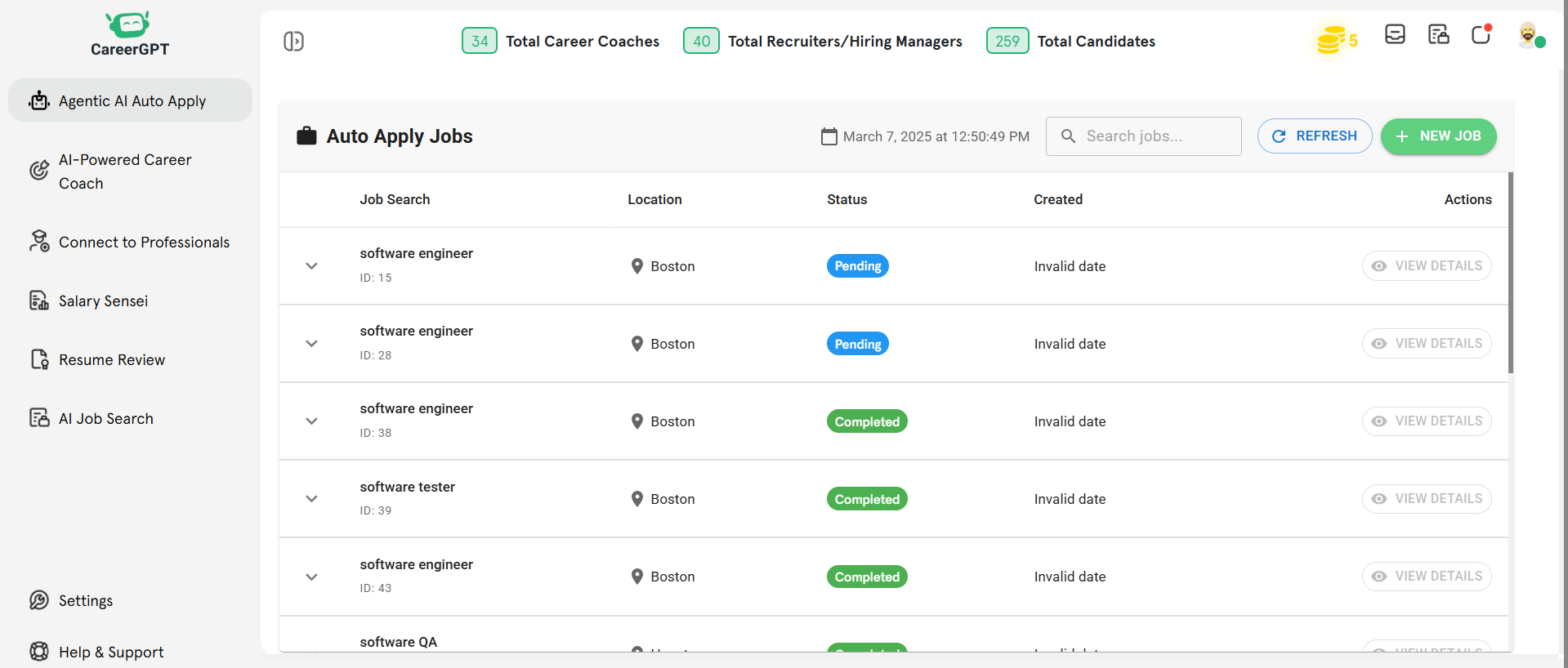 CareerGPT.io Auto Apply Report