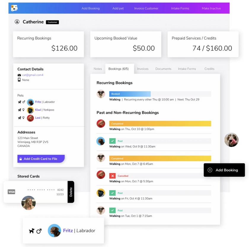 BusyPaws App Landing Page