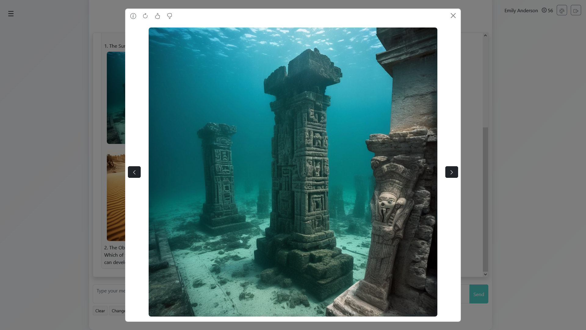 Expert Comments Picture preview