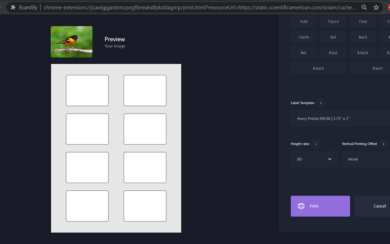 Hlabels Upload label design and print instantly