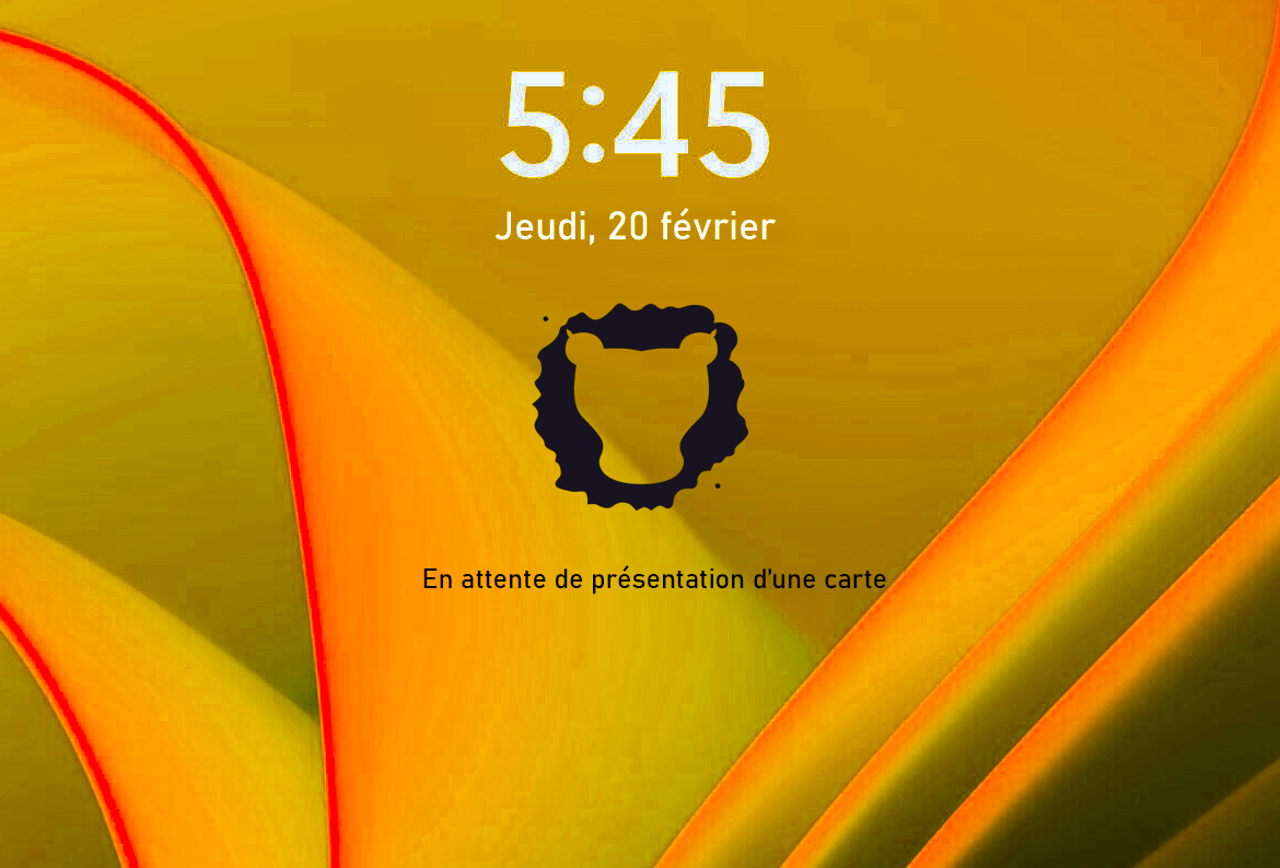Leosac Desktop Authentication LDA Credential Provider
