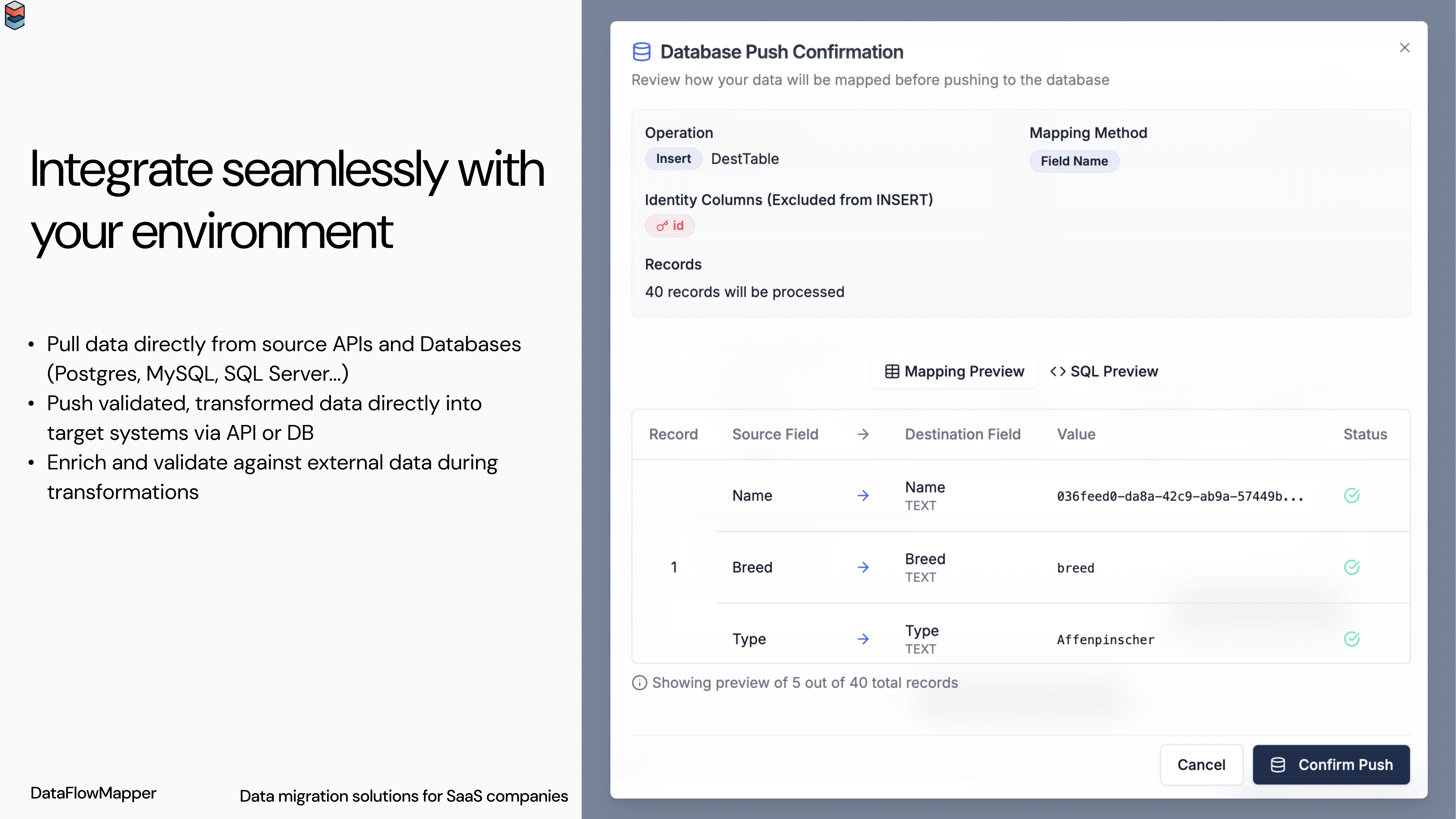 DataFlowMapper API & DB Integration