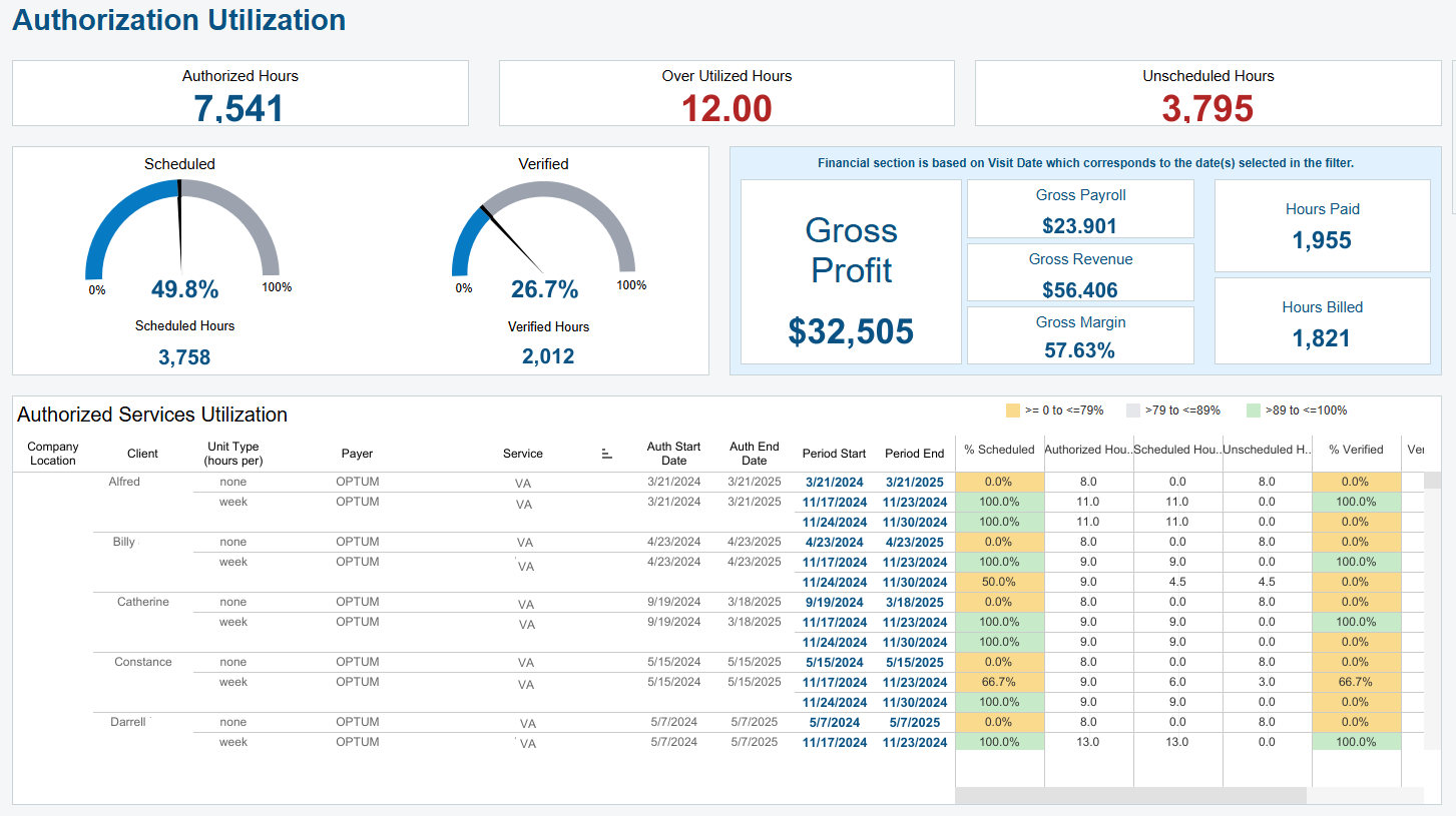 AxisCare BI Tool