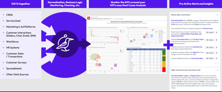 Perch Insights Landing Page