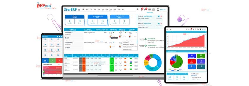 TheERPHub Landing Page