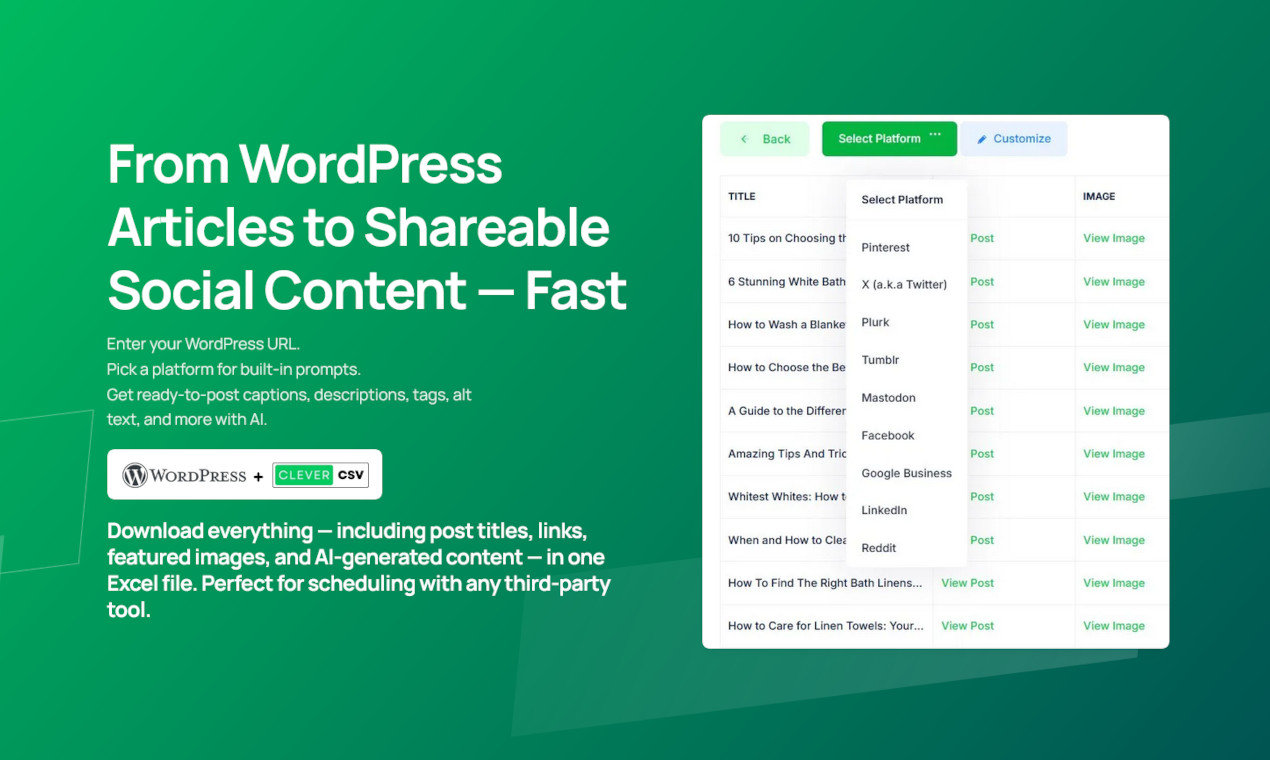 Clever CSV Wordpress Feed AI