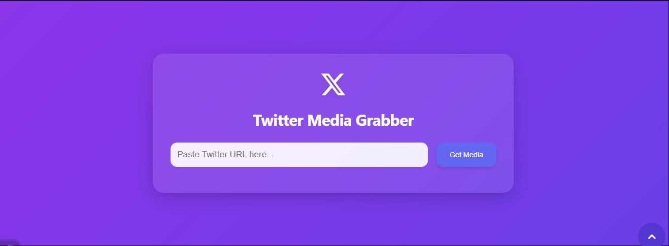 TwitterVideoDownloader.xyz 