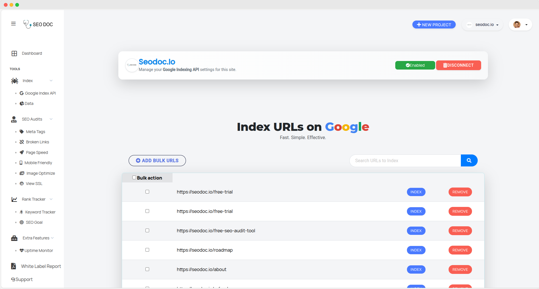 SEODoC Google Index API