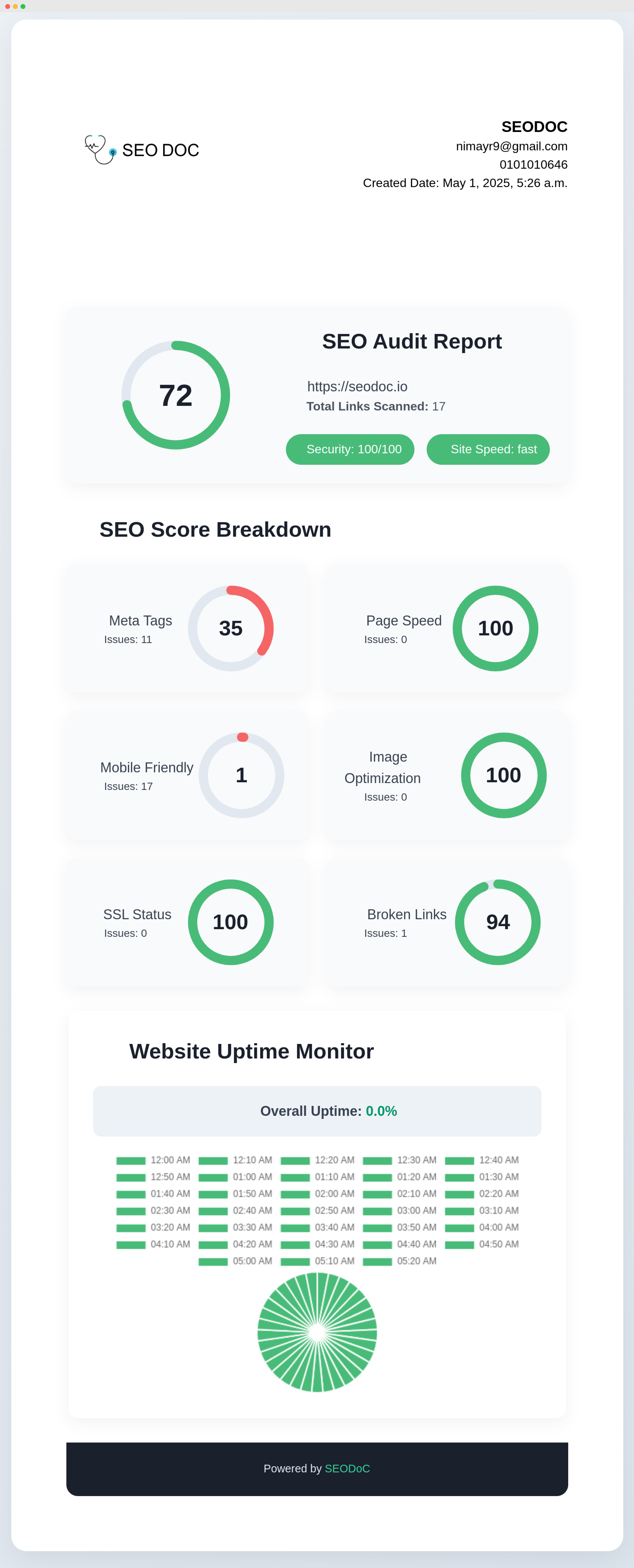 SEODoC White Label Report