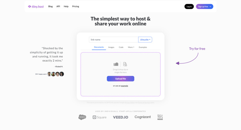 tiiny.host Landing Page