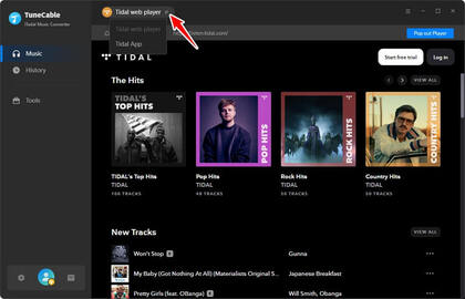 TuneCable Tidal Music Converter image