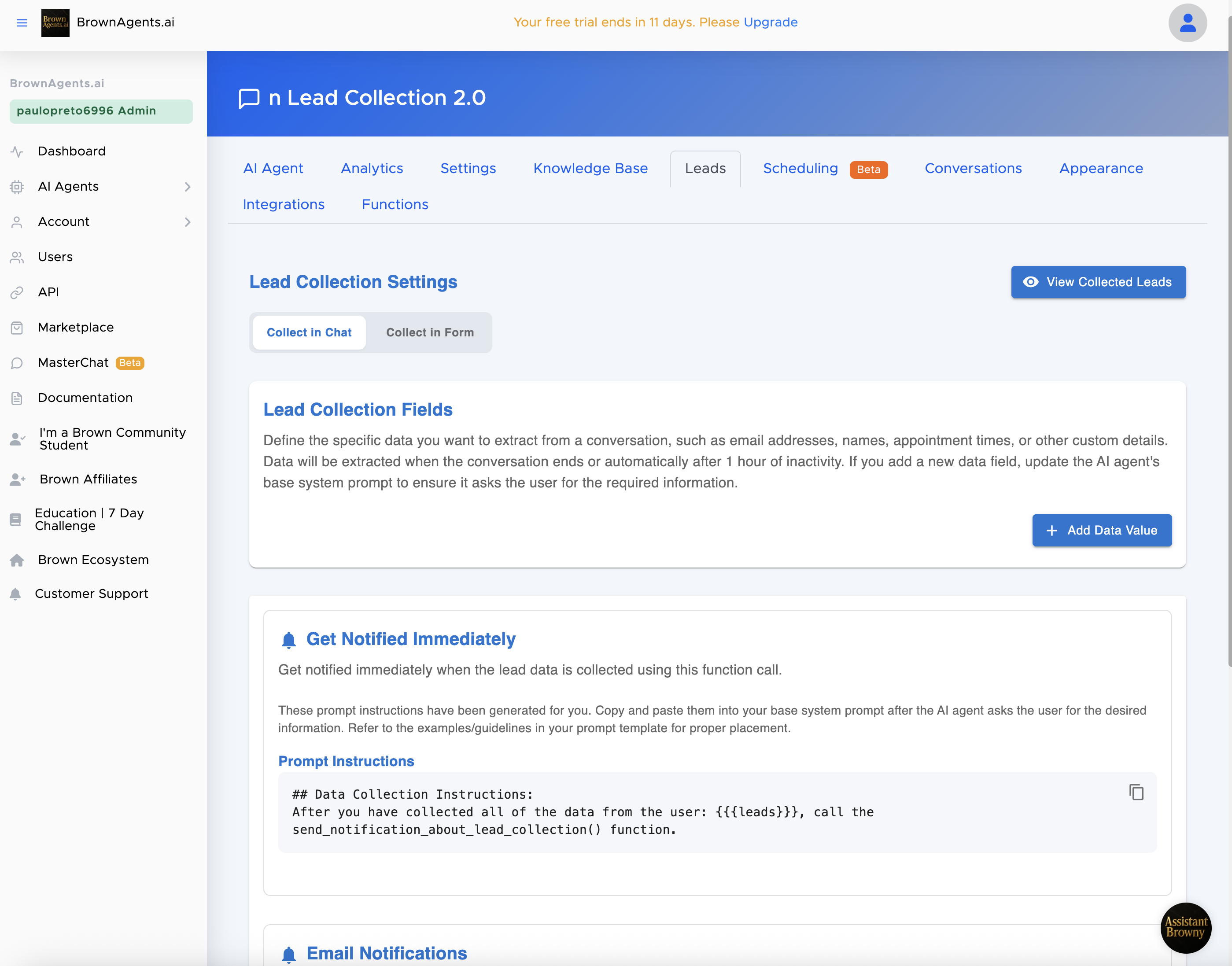 BrownAgents.ai Lead Function - Collect specific Data from your Leads