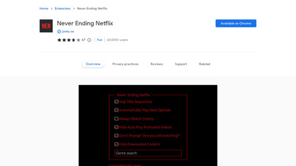 Never Ending Netflix image