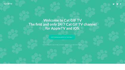 Cat GIF TV image