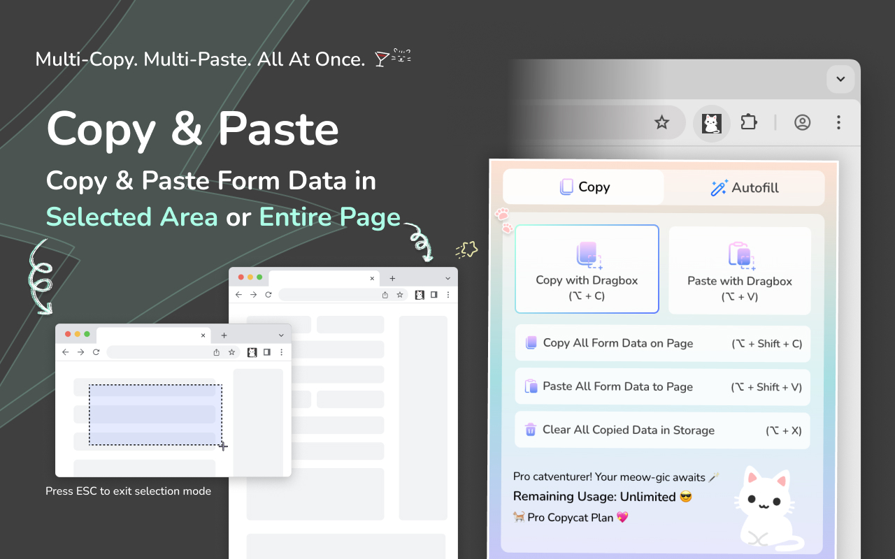 MultiField CopyCat Copy & Paste Form Data in Selected Area | MultiField CopyCat
