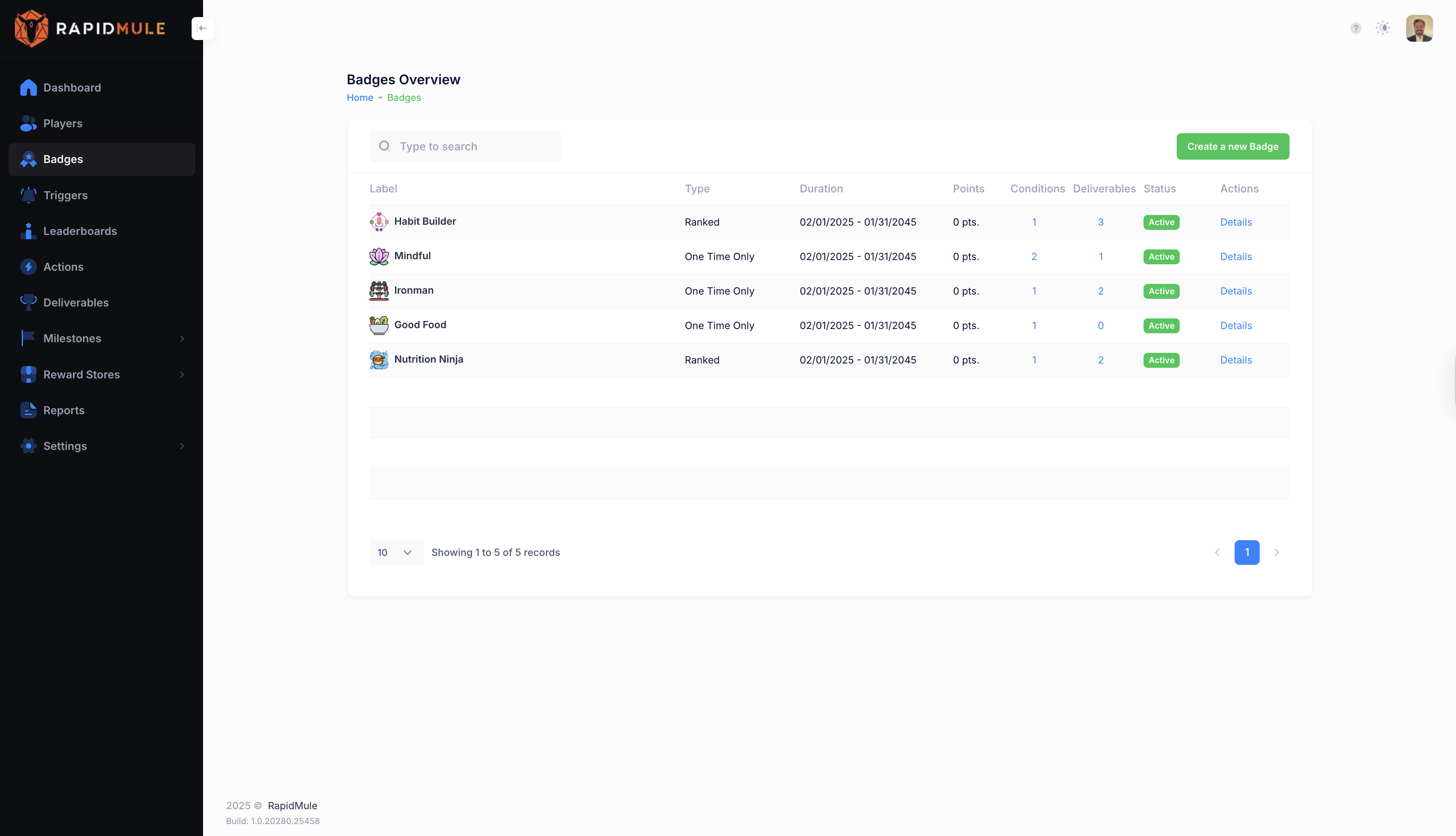 RapidMule Badges List