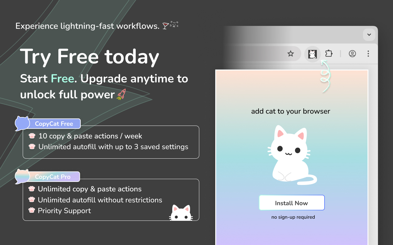 MultiField CopyCat Try Free on Chrome Web Store | MultiField CopyCat
