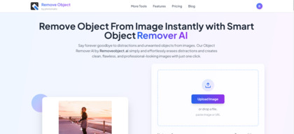 RemoveObject.ai image