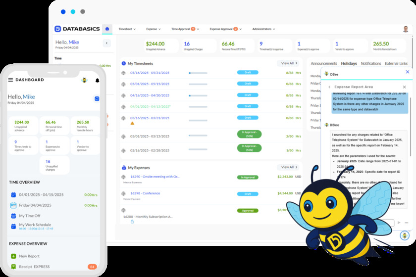 DATABASICS Time Landing Page