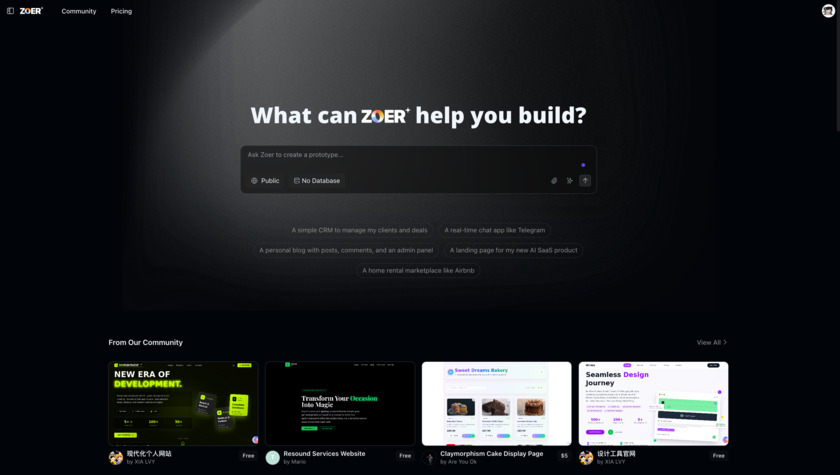 Zoer Landing Page