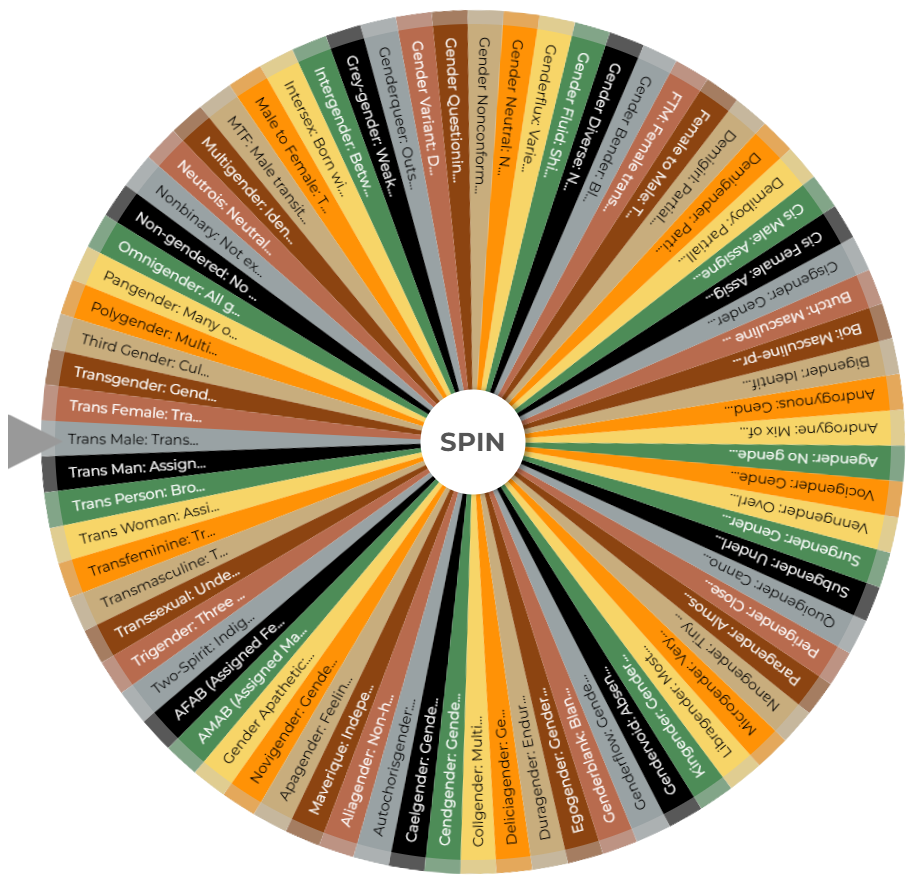 Random Wheel Spin Gender Wheel