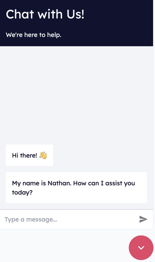 RiverAI The chatbot interface.