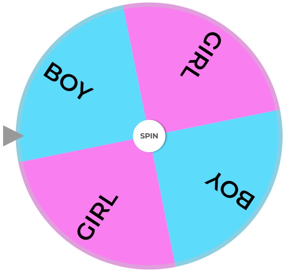 Random Wheel Spin Boy or Girl Wheel