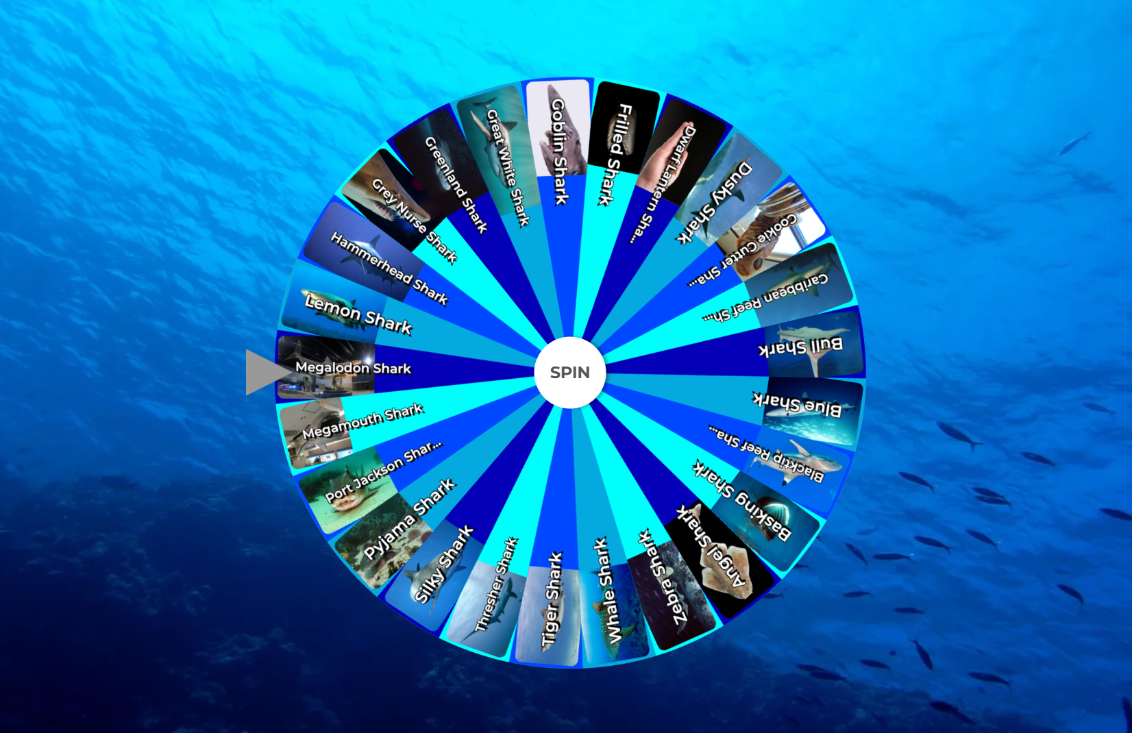 Random Wheel Spin Shark Facts Special Interest Wheel