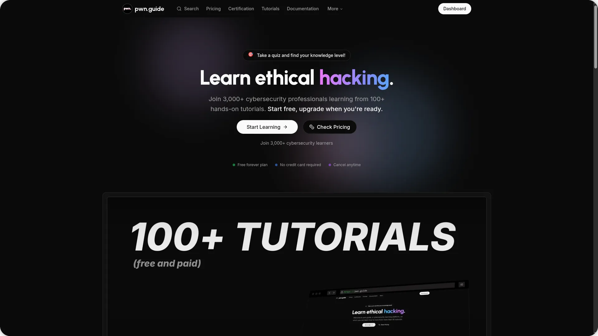 pwn.guide Home page - Dark