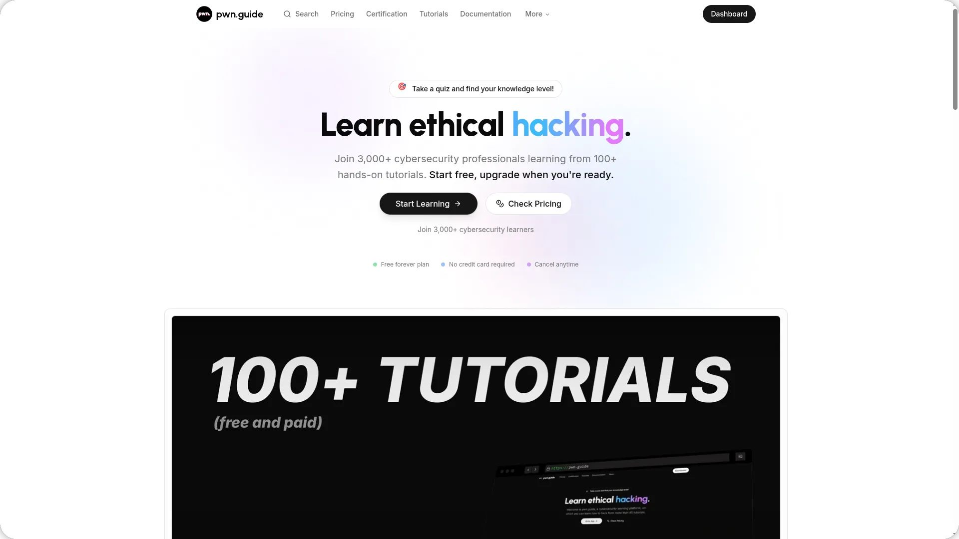pwn.guide Home page - Light