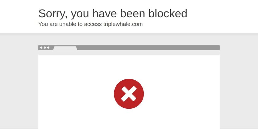 Triple Whale Landing Page