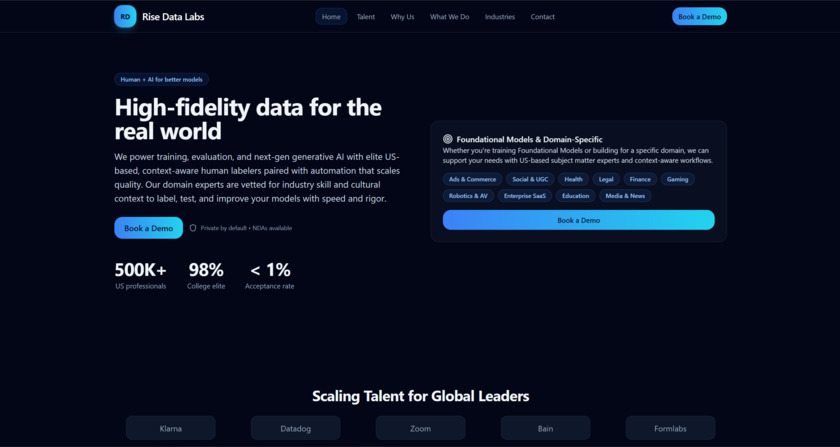 Rise Data Labs Landing Page