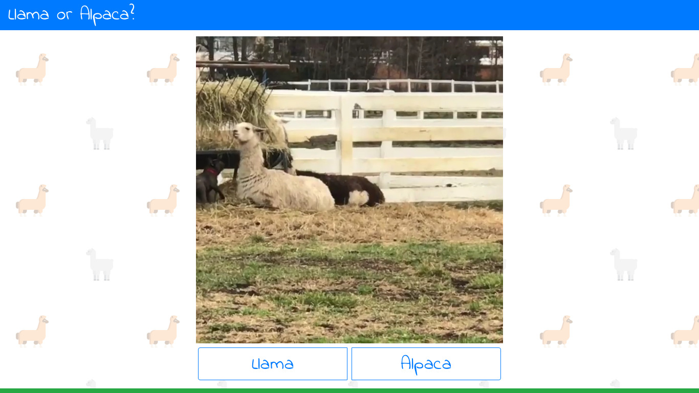 Llama or Alpaca Landing page