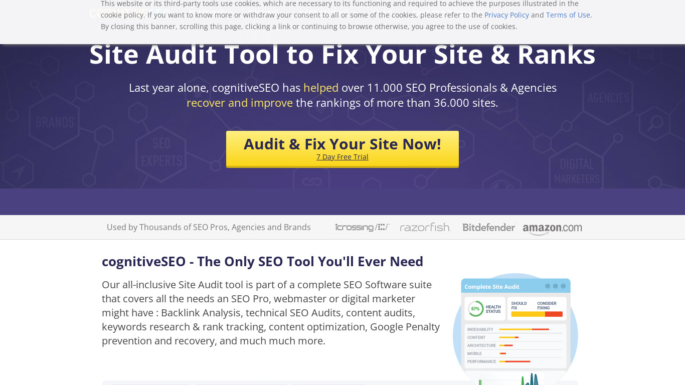 Site Audit by cognitiveSEO Landing page