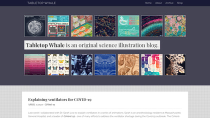 Tabletop Whale image