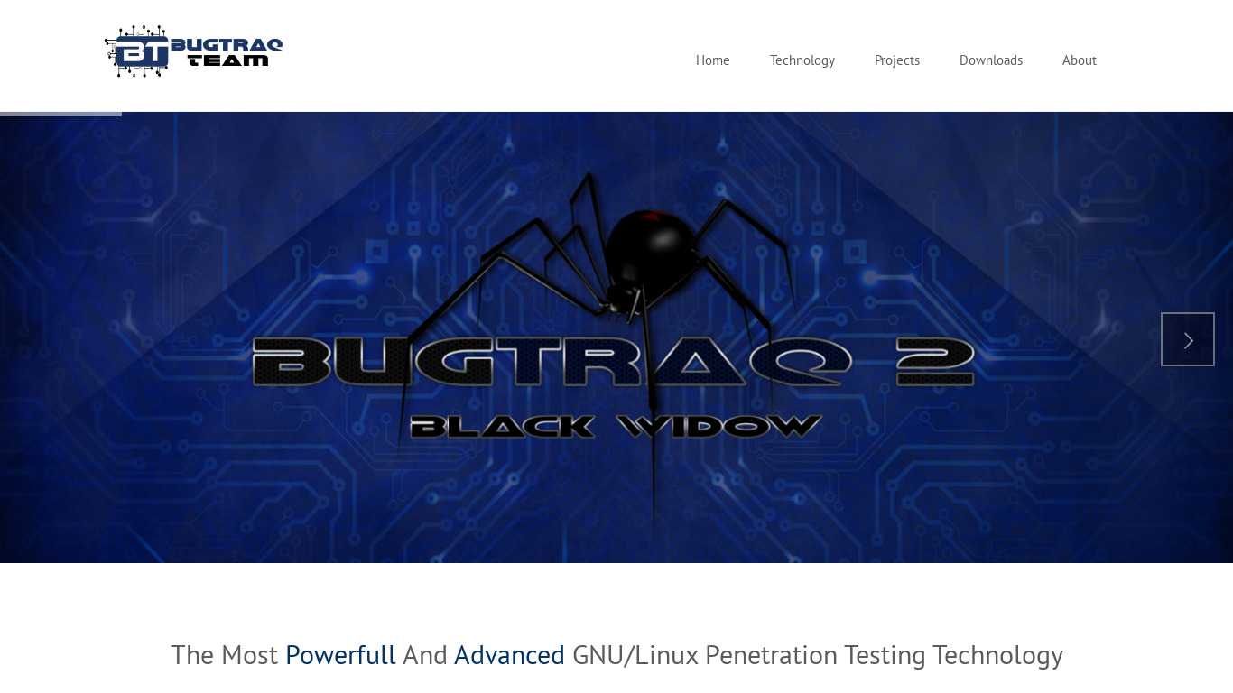 Bugtraq Landing page