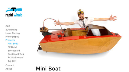 Mini Boat image