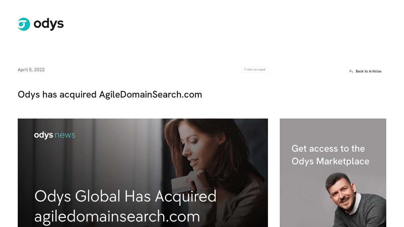 Agile Domain Search Landing page
