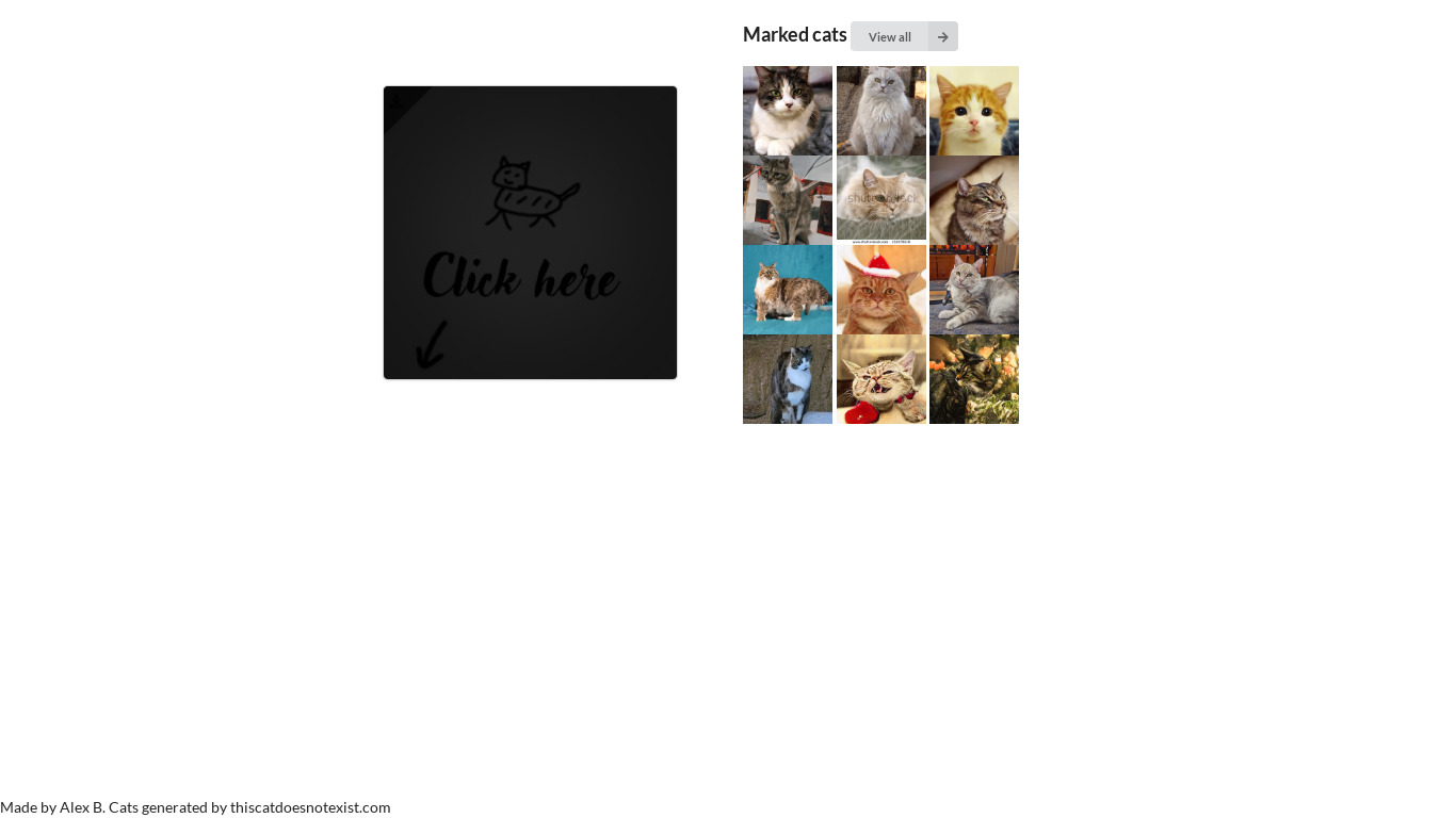 Cats Slideshow Landing page