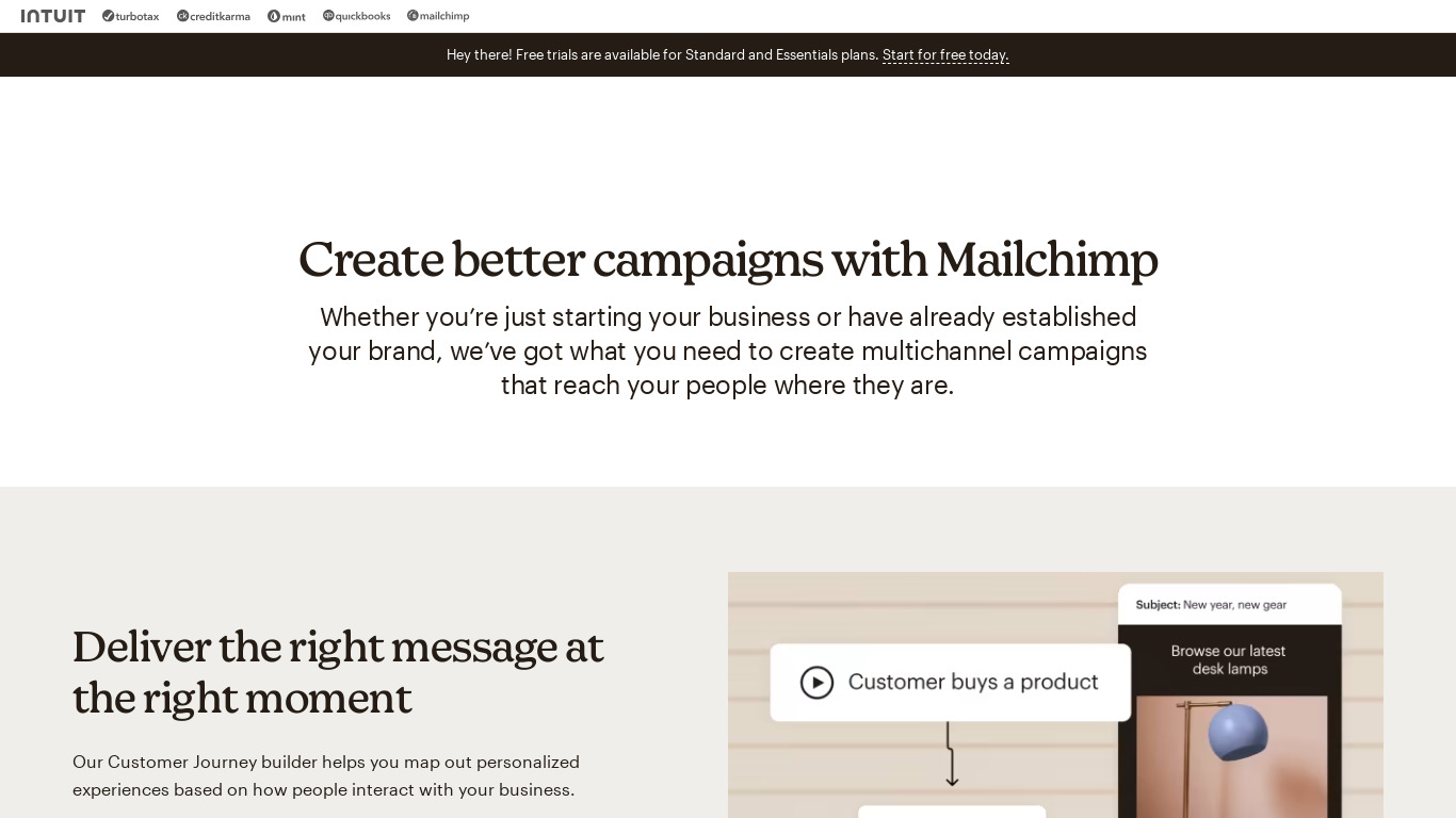 MailChimp Snap Landing page