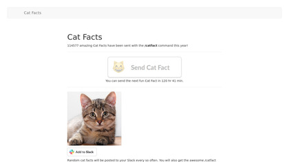 Cat Facts image