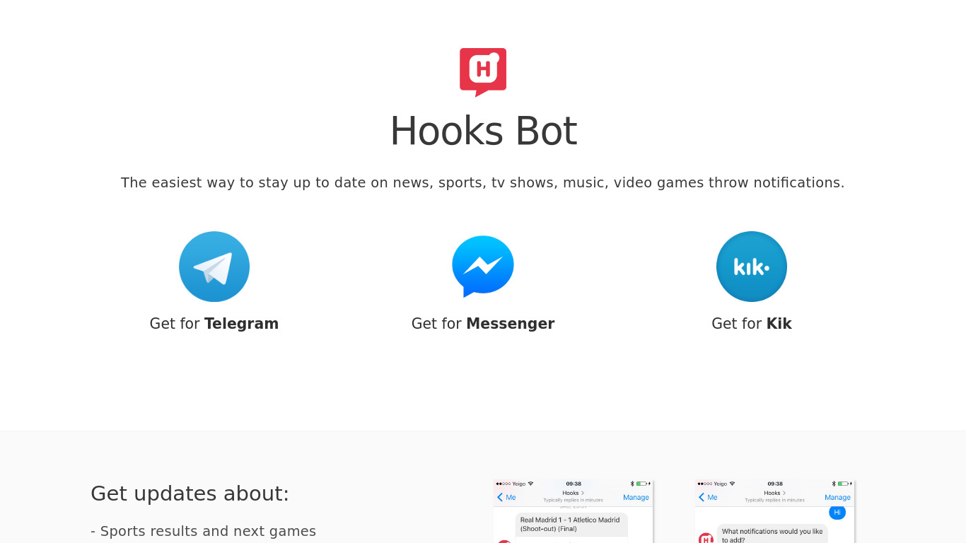 Hooks Bot Landing page