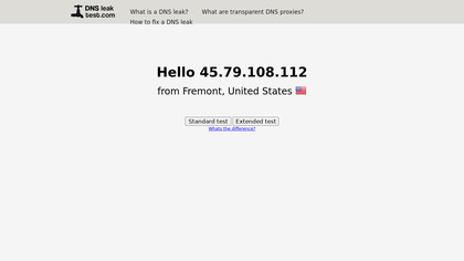 DNS leak test image