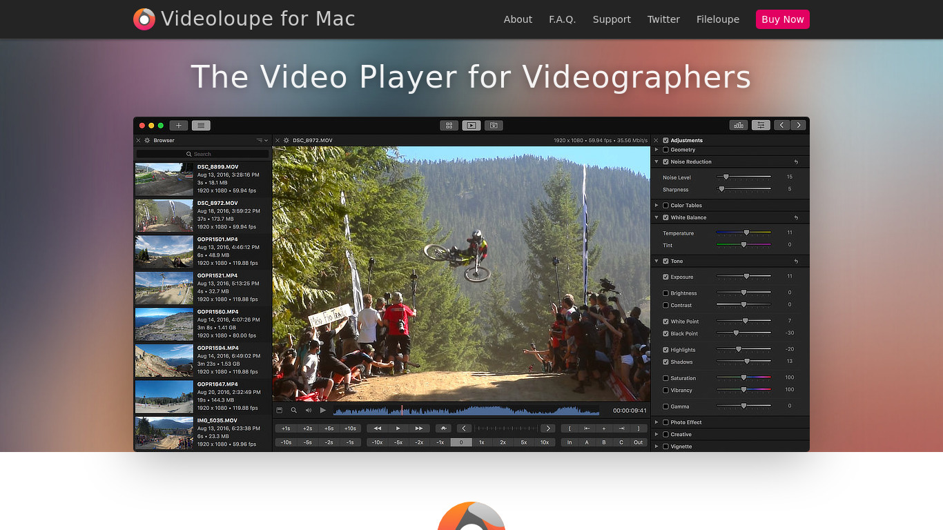 Videoloupe for Mac Landing page