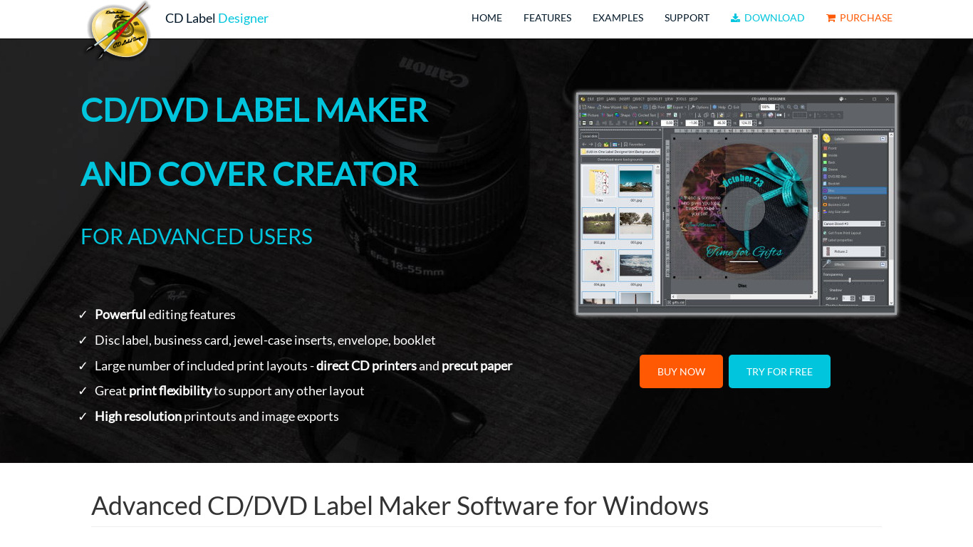 Dataland CD Label Designer Landing page